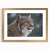 Lynx wall art design in a gold frame with matting, showcasing intricate details of the wild feline, perfect for nature lovers and modern home decor.