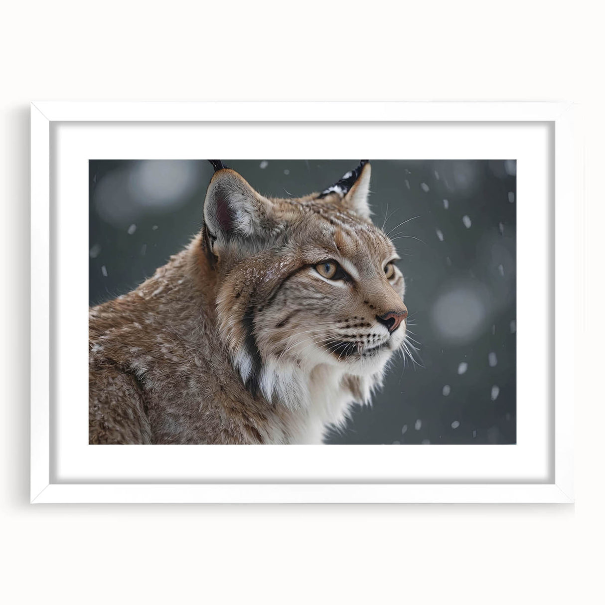 Lynx wall art design framed in white matting, showcasing a striking wildlife illustration. Perfect for nature enthusiasts and home decor accents.