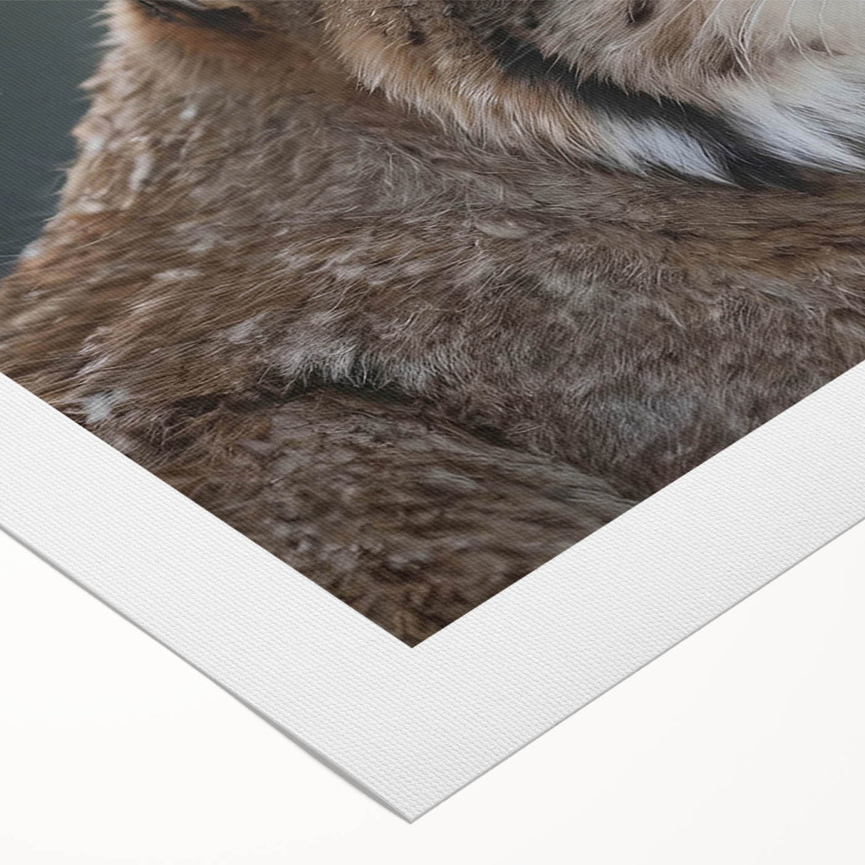 Lynx wall art design on rolled canvas, showcasing a vibrant depiction of wildlife in natural colors, ideal for modern home decor and wildlife enthusiasts.