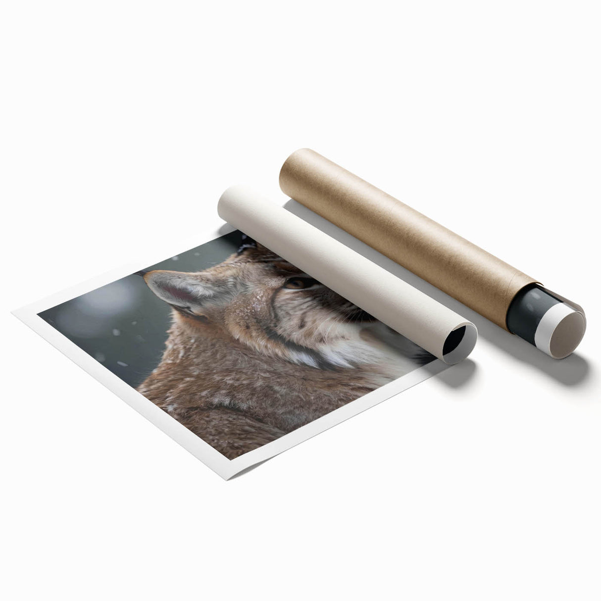 Lynx wall art design featuring a vivid illustration of a wild lynx in a natural setting, ideal for nature lovers and wildlife enthusiasts, rolled for easy display.