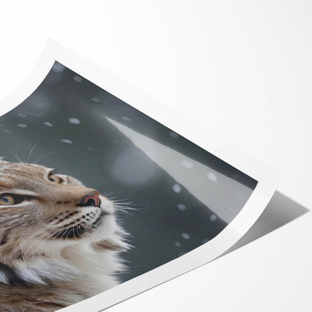 Lynx-themed wall art print showcasing a realistic design of a lynx in a natural setting, rolled and ready for display, perfect for wildlife enthusiasts.