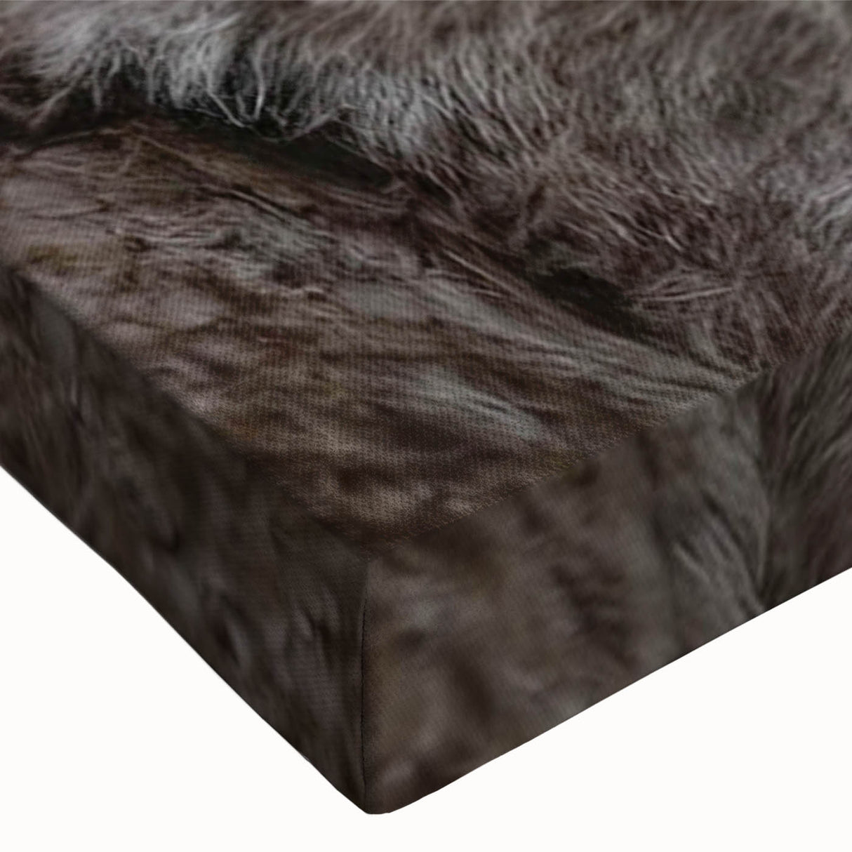Close-up of a stretched canvas wall art piece featuring a detailed lynx design, showcasing vibrant colors and intricate fur textures, ideal for wildlife-themed decor.