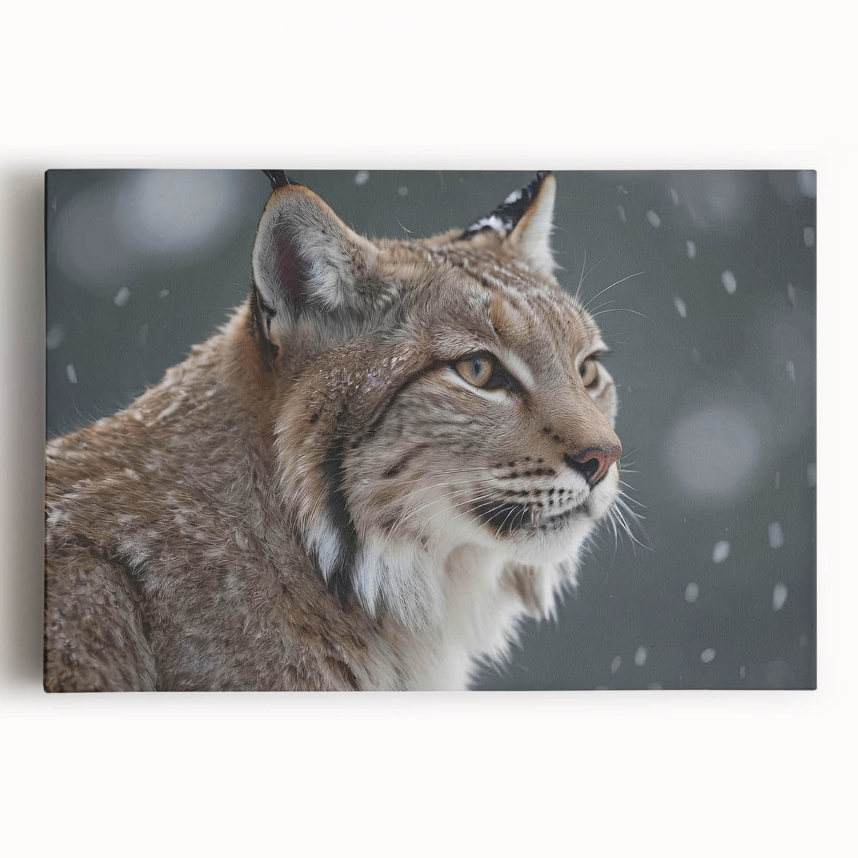 Lynx wall art canvas print featuring a detailed, vibrant depiction of a wild lynx in a natural setting, perfect for animal lovers and home decor enthusiasts.