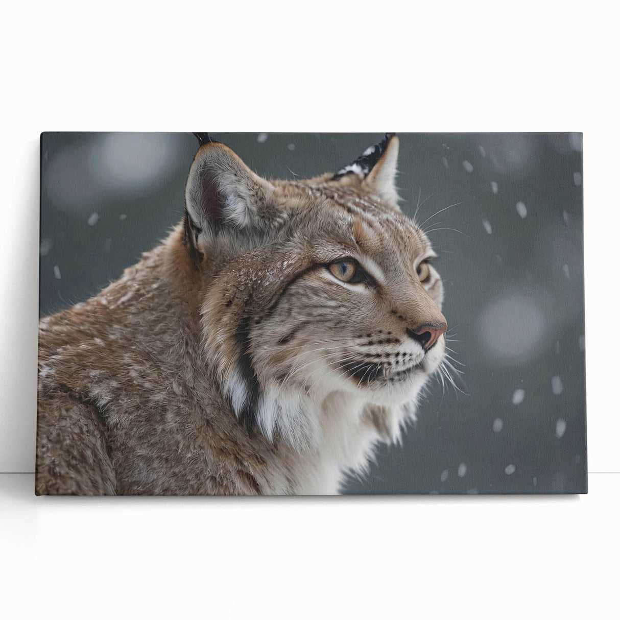 Lynx wall art design on stretched canvas, showcasing a vibrant and detailed depiction of a wild lynx in a natural setting, perfect for home decor.