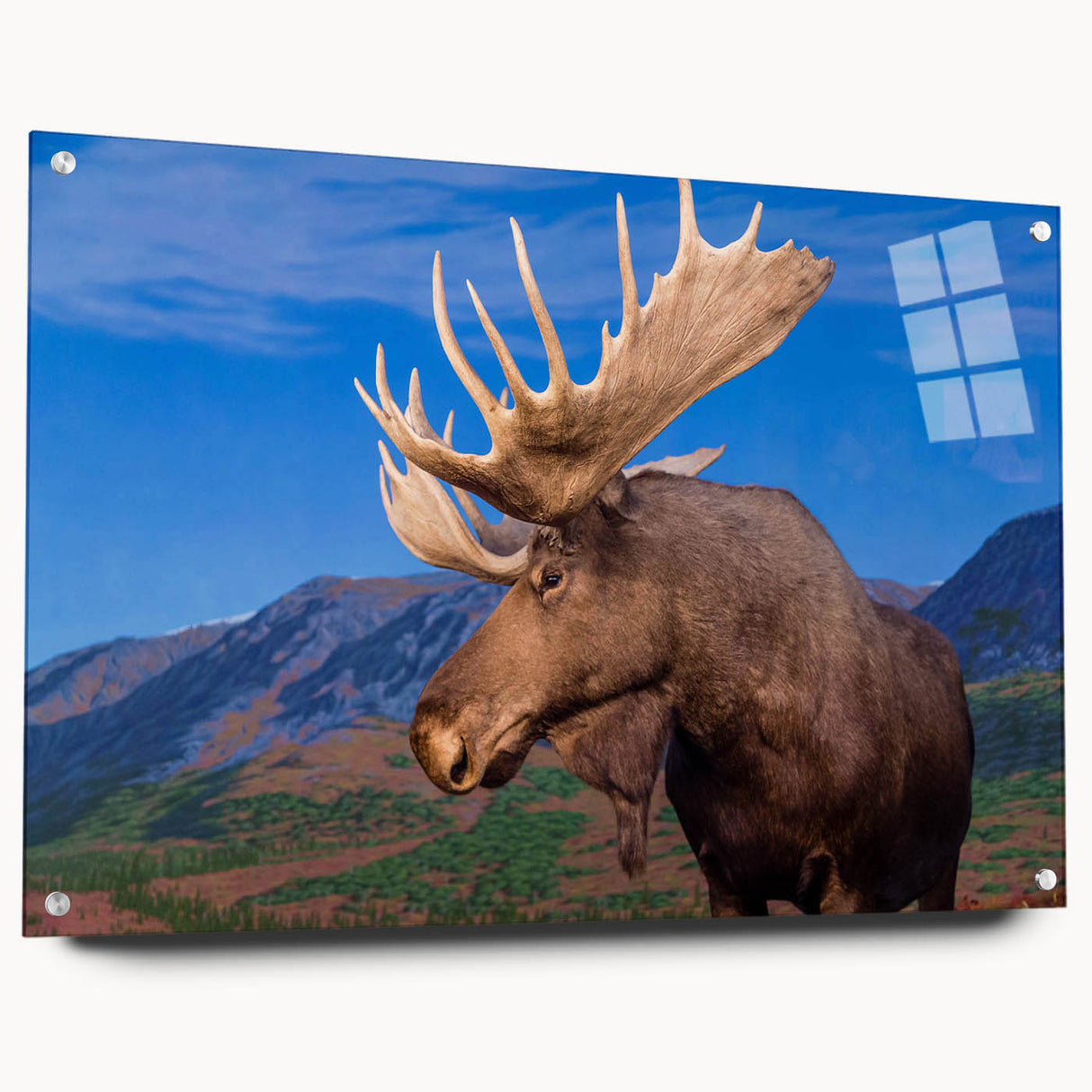 Side view of a striking acrylic glass wall art piece showcasing a moose and elk design, featuring vibrant colors and intricate details, ideal for wildlife enthusiasts.
