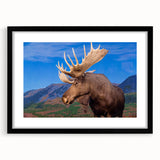 Framed wall art showcasing a moose and elk design in a black mat, ideal for nature enthusiasts and rustic decor, enhancing any living space with wildlife charm.