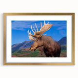 Framed wall art showcasing a moose and elk design, featuring a gold mat and modern frame, ideal for wildlife enthusiasts and home decor lovers.