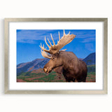 Framed wall art showcasing a detailed moose and elk design, presented in a sleek silver frame with a mat, perfect for wildlife enthusiasts and nature decor.