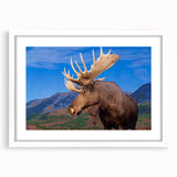 Framed wall art featuring a moose and elk design, showcasing intricate wildlife details on a white mat, perfect for enhancing rustic home decor.