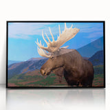 Framed wall art featuring a stunning moose and elk design, showcasing detailed wildlife illustrations in vibrant colors against a sleek black frame, ideal for nature enthusiasts.