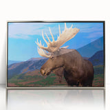 Framed acrylic wall art showcasing a moose and elk design, featuring a silver frame and vibrant colors, perfect for wildlife enthusiasts and home decor.