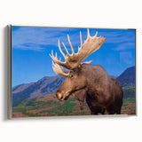 Framed canvas wall art showcasing a silver side view design of a moose and elk, perfect for wildlife enthusiasts and home decor, emphasizing nature's beauty.