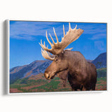 Framed canvas wall art featuring a detailed design of a moose and elk in a natural setting, showcasing rich colors and intricate detailing on a white background. Ideal for wildlife enthusiasts and home decor.