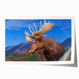 Moose and elk wildlife wall art design featuring vibrant colors and intricate details, rolled and ready for display in a stylish home décor setting.