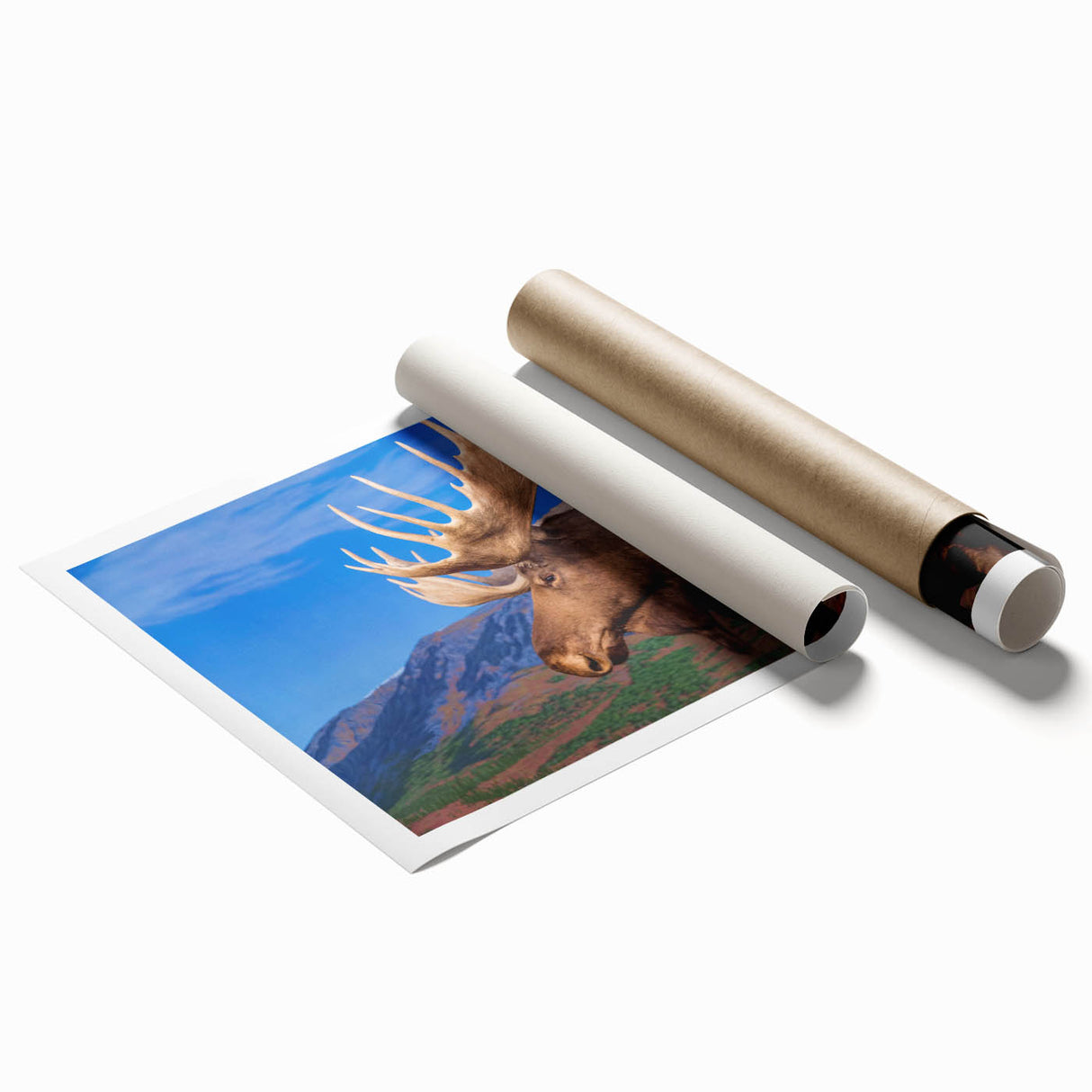 Moose and elk wall art print featuring intricate wildlife design in natural colors, rolled for easy display and shipping, perfect for animal lovers and home decor enthusiasts.