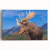 Moose and elk wall art design on stretched canvas showcasing a vibrant, natural landscape with detailed wildlife illustrations, perfect for nature-inspired decor.