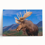 Moose and elk design stretched canvas wall art, showcasing a serene wildlife scene with rich colors, perfect for nature enthusiasts and home decor.
