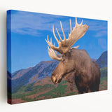 Stretched canvas wall art depicting a side view of a moose and elk in a serene natural setting, showcasing detailed wildlife design in earthy tones, perfect for nature lovers.