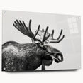 Acrylic wall art design showcasing a moose and elk in a serene forest setting, framed with pins for easy hanging, ideal for wildlife enthusiasts.