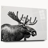 Acrylic wall art design showcasing a moose and elk in a serene forest setting, framed with pins for easy hanging, ideal for wildlife enthusiasts.