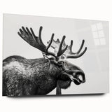 Acrylic glass artwork showcasing a side view of a moose and elk in a vibrant forest setting, ideal for wildlife enthusiasts and nature-inspired decor.