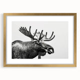 Moose and elk design wall art collection framed in gold, showcasing intricate wildlife details and a mat border, perfect for nature-themed decor.