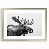 Moose and elk wall art collection framed in silver with a mat, showcasing a nature-inspired design perfect for wildlife enthusiasts, adding elegance to any decor.