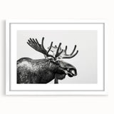 Moose and elk wall art collection framed with mat, showcasing intricate wildlife designs in a white frame, ideal for nature-themed decor.