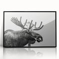 Framed wall art featuring a moose and elk design, showcasing wildlife in a natural habitat. The piece is presented in a sleek black frame, ideal for enhancing rustic or nature-themed decor.