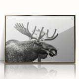 Framed wall art featuring a stunning moose and elk design, highlighted with acrylic glass and a gold frame, perfect for wildlife enthusiasts and home decor.