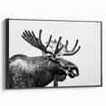 Framed wall art collection showcasing a moose and elk design, featuring a black side view with vibrant colors, perfect for nature enthusiasts and home decor.