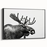 Framed wall art collection showcasing a moose and elk design, featuring a black side view with vibrant colors, perfect for nature enthusiasts and home decor.