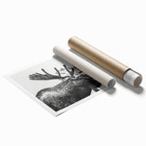 Moose and elk wildlife wall art print showcasing a vibrant forest scene with rich colors, rolled and ready for framing, ideal for nature enthusiasts' decor.