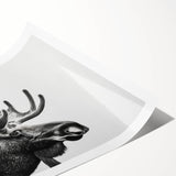 Moose and elk wall art design on high-quality rolled print, showcasing intricate wildlife details and vibrant colors, ideal for nature-themed decor.