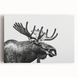 Stretched canvas wall art showcasing a striking moose and elk design, featuring intricate details and vivid colors, ideal for nature-themed decor.