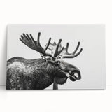Moose and elk design wall art collection displayed on stretched canvas, featuring rich colors and wildlife themes, ideal for nature-inspired decor.