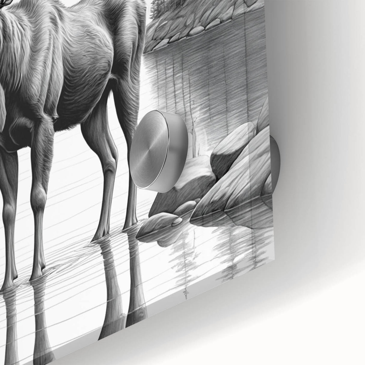 Close-up of a striking moose and elk wall art design on acrylic glass, showcasing detailed wildlife imagery in vibrant colors, perfect for nature enthusiasts' decor.