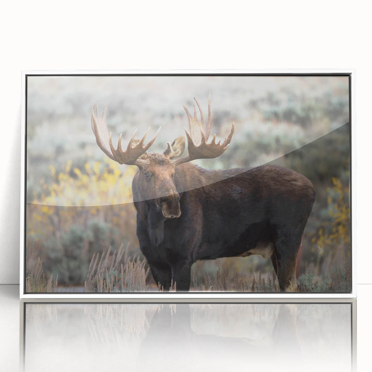 Framed wall art featuring a stunning moose and elk design, showcasing intricate details in natural colors, perfect for wildlife enthusiasts and home decor.