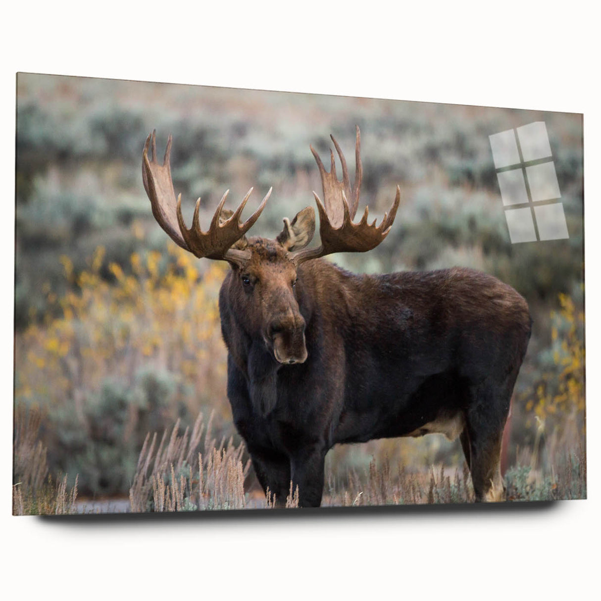 Acrylic wall art design showcasing a striking moose and elk scene in a forest setting, emphasizing natural colors and intricate details, perfect for wildlife enthusiasts.