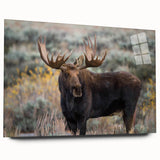 Acrylic wall art design showcasing a striking moose and elk scene in a forest setting, emphasizing natural colors and intricate details, perfect for wildlife enthusiasts.