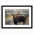 Black-framed wall art showcasing a moose and elk design, featuring intricate details and natural colors, perfect for wildlife enthusiasts and home decor.