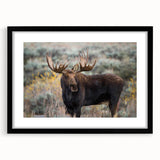Black-framed wall art showcasing a moose and elk design, featuring intricate details and natural colors, perfect for wildlife enthusiasts and home decor.