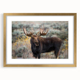 Moose and elk design wall art collection featuring a gold frame with mat, showcasing a nature-inspired aesthetic, perfect for wildlife enthusiasts. This elegant piece enhances interior decor with its rich details and vibrant colors.