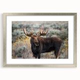 Framed wall art collection showcasing a detailed moose and elk design, featuring a silver frame with a mat, perfect for nature-themed home decor.