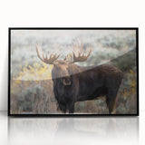 Framed wall art collection showcasing a moose and elk design in a black acrylic frame, perfect for nature enthusiasts and wildlife decor, enhancing any interior.