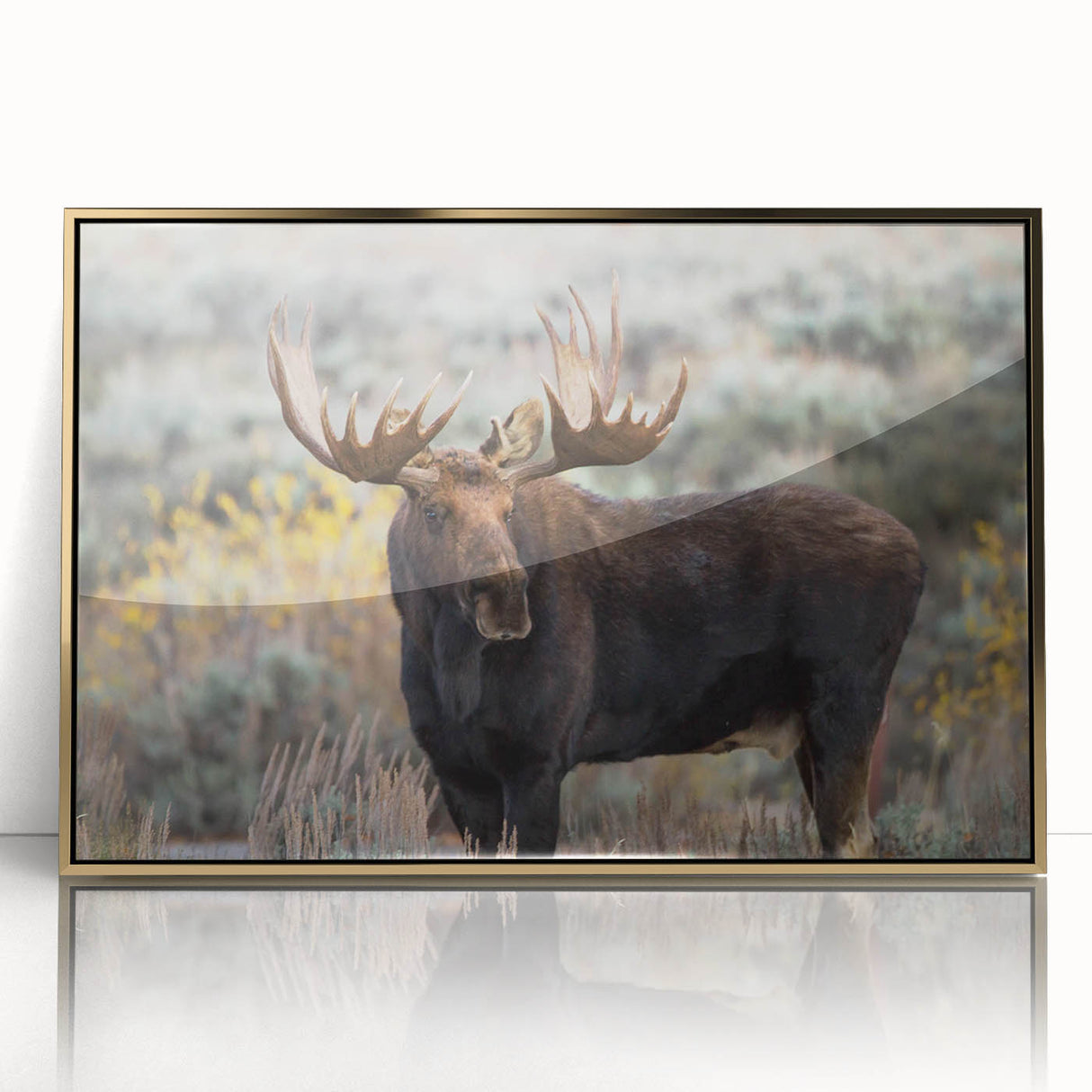 Framed wall art featuring a striking moose and elk design, showcasing intricate details and vibrant colors, perfect for wildlife enthusiasts. The piece has a luxurious gold frame, adding elegance to any room decor.