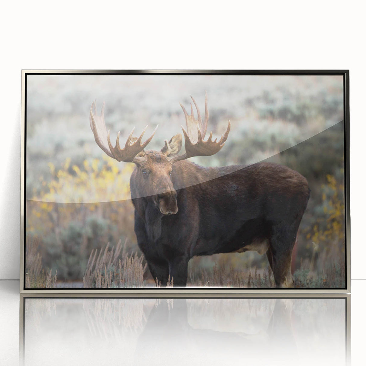 Framed wall art showcasing a moose and elk design in a silver-acrylic finish, perfect for enhancing rustic home decor. Ideal for wildlife enthusiasts and nature lovers.