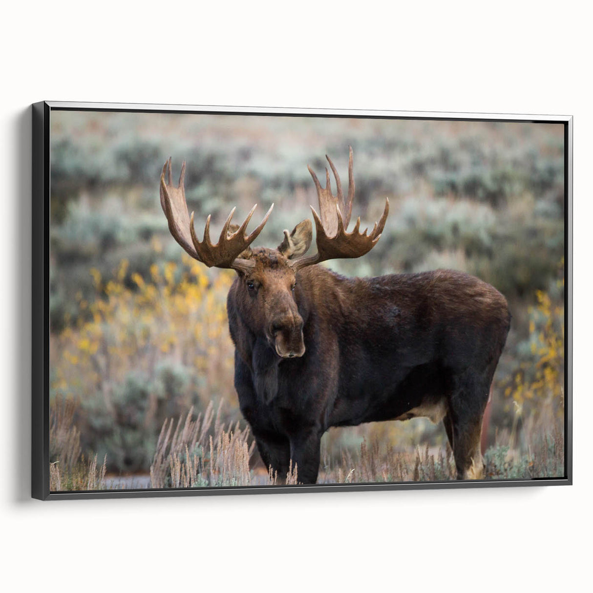 Framed wall art featuring a moose and elk design, showcasing intricate wildlife details on a black background, ideal for nature enthusiasts and home decor.