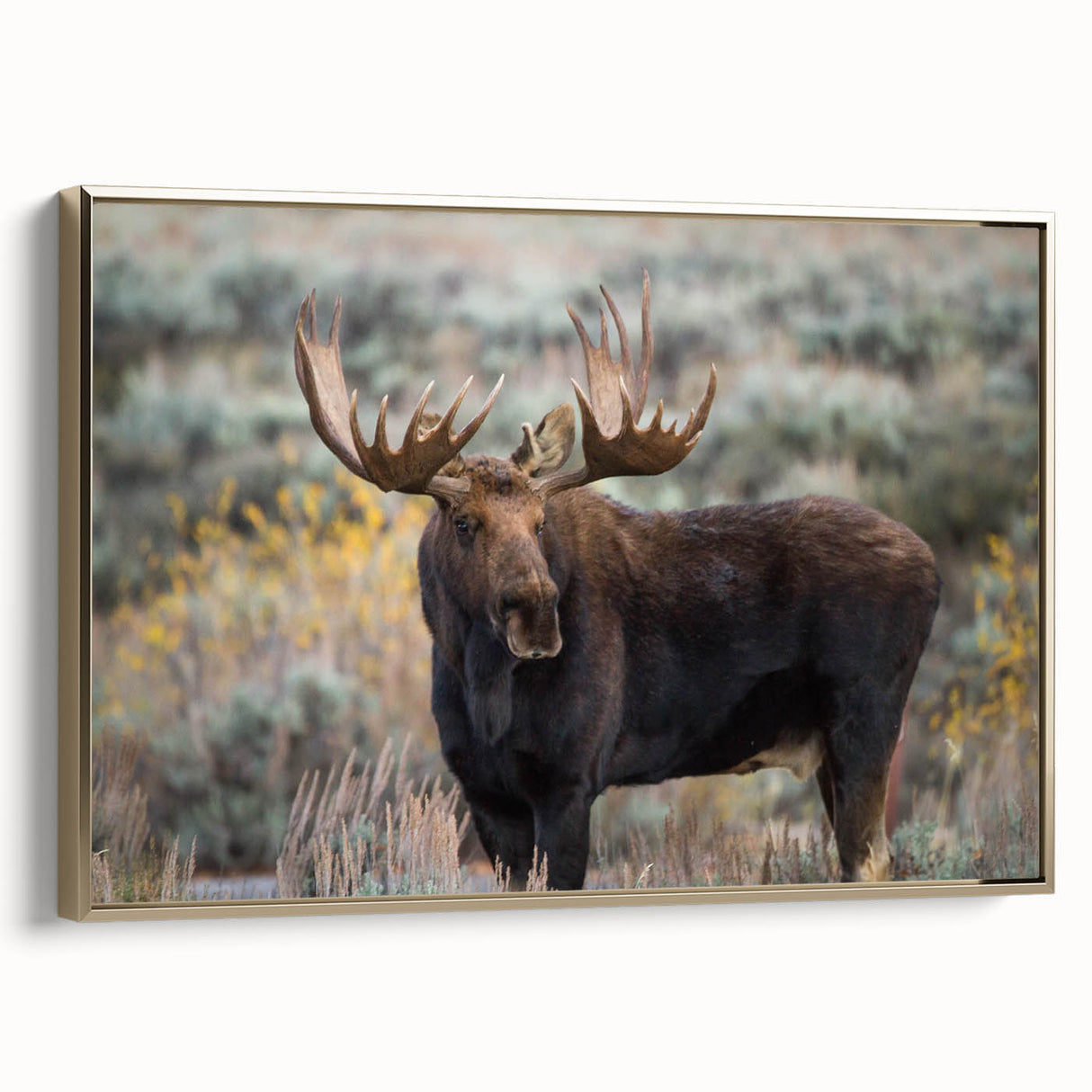 Framed canvas wall art featuring a moose and elk design, showcasing intricate details and a gold frame, ideal for wildlife enthusiasts and home decor.