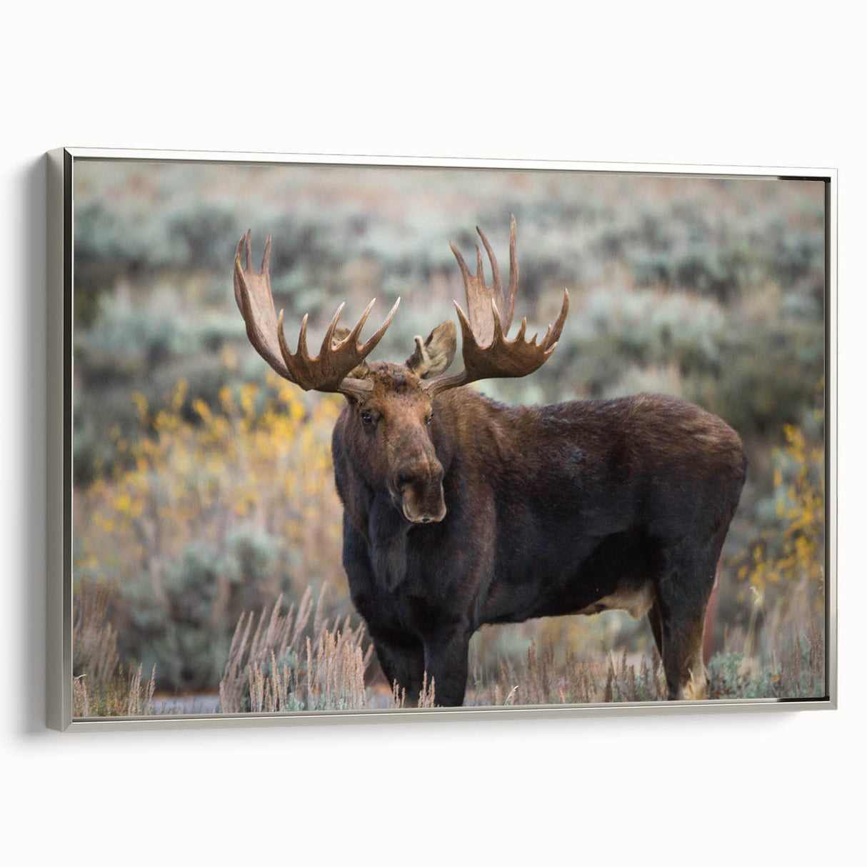 Framed wall art featuring a moose and elk design, showcasing detailed wildlife imagery on a canvas with a silver frame, ideal for nature enthusiasts.